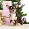 YOUALSO Dog Collars for Small Dogs 3D Print Pattern Soft Nylon Pet Puppy Collars Adjustable for XS Small Medium Large Dogs Girl Boy Colorful Triangle S