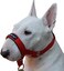 Dogs My Dog Head Collar Halter Red 6 Sizes XL 12251525 Snout