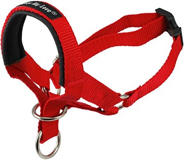 Dogs My Dog Head Collar Halter Red 6 Sizes XL 12251525 Snout