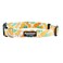 Downtown Pet Supply Best Fancy Dog Collar Lightweight Adjustable with Quick Buckle DRing Hand Wash Safe Pineapple Large