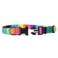 DYAprWu Dog Adjustable Collar Durable Printing Collar for Small Dogs Medium Dogs Large Dogs SNeck Girth 1419 Pattern A