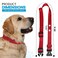 Gracie To ECollar Replacement Strap Shock Collar Replacement Collar In Ground Fence Collar Replacement Compatible with Pet Safe Invisible Fence Orange 34