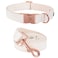Elegant little tail Dog Collar and Leash Girl or Boy Durable Pet Collar Leather Dog Collar Adjustable Dog Collars for Large Dogs