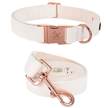 Elegant little tail Dog Collar and Leash Girl or Boy Durable Pet Collar Leather Dog Collar Adjustable Dog Collars for Large Dogs