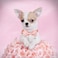 Elegant little tail Valentines Dog Collar with Bow Bow Tie Pet Collars Cute Heart Bowtie Puppy Dog Collar for Small Dogs