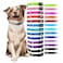 Extreme Dog Fence Dog Collar Replacement Strap Lime Compatible with Nearly All Brands and Models of Underground Dog Fences
