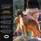 EzyDog Double Up Dog Collar Double DRings for Superior Strength Safety and Comfort Nylon Dog Collar with Reflective Trim and ID Attachment Point Large Black
