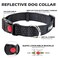 Fida Reflective Dog Collar Nylon Dog Collars with Neon Colors for SmallMediumLarge Dogs High Visibility Dog Collars with Safety Locking BuckleLarge Black