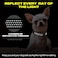 Fida Reflective Dog Collar Nylon Dog Collars with Neon Colors for SmallMediumLarge Dogs High Visibility Dog Collars with Safety Locking BuckleLarge Black