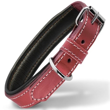 Filbert Leather Dog Collar Genuine Leather Collar for Medium Dogs Premium Luxury Padded Strong Adjustable for All Breeds Heavy Metal Buckle UltraDurable Red
