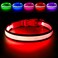 Flashseen LED Dog Collar Light Up Dog Collar USB Rechargeable Brightest Dog Lights for Night Walking Adjustable Dog Collar Light for Dog Safety Red Medium