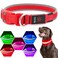 Flashseen LED Dog Collar Light Up Dog Collar USB Rechargeable Brightest Dog Lights for Night Walking Adjustable Dog Collar Light for Dog Safety Red Medium