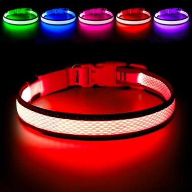 Flashseen LED Dog Collar Light Up Dog Collar USB Rechargeable Brightest Dog Lights for Night Walking Adjustable Dog Collar Light for Dog Safety Red Medium