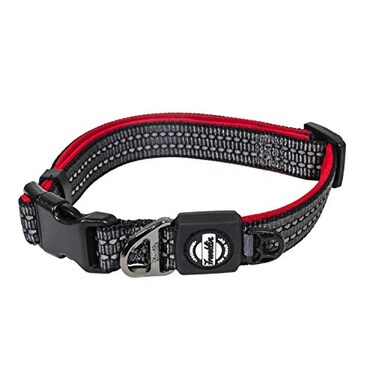Franklin Sports Franklin Pet Supply Co Nylon Dog Collar Reflective Comfort Fit Neoprene Adjustable Small Medium Large Puppy Dog Cat Easy Clip