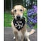 HDGDT She Said Yes Dog Wedding Bandana Collar Adjustable Engagement Pet Bandana with Quick Release Buckle DRing for Dogs Cats