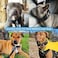 AaufiLux Heavy Duty Tactical Dog Collar 15 Width Military Durable Thick Nylon with Adjustable Metal D Ring Buckle Working Training K9 Collar for Medium Large Dogs L2023 Black