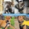 AaufiLux Heavy Duty Tactical Dog Collar 15 Width Military Durable Thick Nylon with Adjustable Metal D Ring Buckle Working Training K9 Collar for Medium Large Dogs L2023 Black