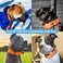 AaufiLux Heavy Duty Tactical Dog Collar 15 Width Military Durable Thick Nylon with Adjustable Metal D Ring Buckle Working Training K9 Collar for Medium Large Dogs L2023 Orange