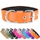 AaufiLux Heavy Duty Tactical Dog Collar 15 Width Military Durable Thick Nylon with Adjustable Metal D Ring Buckle Working Training K9 Collar for Medium Large Dogs M1720 Orange
