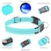 Illumifun LED Dog Collar Reflective Light Up Collars for Small Dog USB Rechargeable Pet Collar Light for Dogs Walking Camping Blue Small