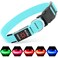 Illumifun LED Dog Collar Reflective Light Up Collars for Small Dog USB Rechargeable Pet Collar Light for Dogs Walking Camping Blue Small