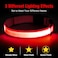Illumifun LED Dog Collar USB Rechargeable Light Up Dog Collar Safety Glow Light for Your Pet Walking at Night Red Large