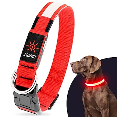 Illumifun LED Dog Collar USB Rechargeable Light Up Dog Collar Safety Glow Light for Your Pet Walking at Night Red Large