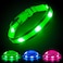 Illumifun Light Up Dog Collar USB Rechargeable LED Dog Collar Glow in the Dark High Visibility Glow Collar Light for Nighttime Walking Large Fluorescent Green