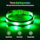 Illumifun Light Up Dog Collar USB Rechargeable LED Dog Collar Glow in the Dark High Visibility Glow Collar Light for Nighttime Walking Large Fluorescent Green