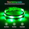 Illumifun Light Up Dog Collar USB Rechargeable LED Dog Collar Glow in the Dark High Visibility Glow Collar Light for Nighttime Walking Large Fluorescent Green