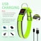 Illumifun Light Up Dog Collar USB Rechargeable LED Dog Collar Glow in the Dark High Visibility Glow Collar Light for Nighttime Walking Large Fluorescent Green