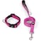 IVY&amp;LANE IVYLANE Reflective Dog Collar and Leash SetAdjustable Neoprene Padded Dog Collars Breathable Nylon Pet Collar for Small Medium Large DogsSmallFuchsia Pink