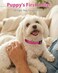 Joytale Dog Collars for Small Dogs FeatherLight DoubleSided Reflective Nylon Collar for Night Safety Adjustable QuickRelease for Growing Puppies Hotpink S 58 Width