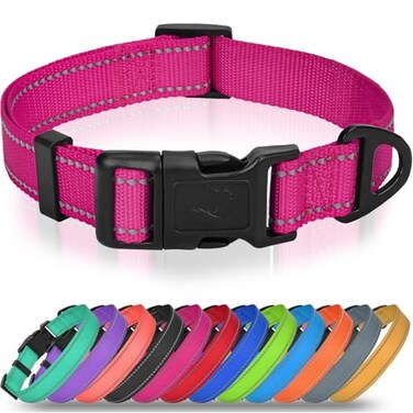 Joytale Dog Collars for Small Dogs FeatherLight DoubleSided Reflective Nylon Collar for Night Safety Adjustable QuickRelease for Growing Puppies Hotpink S 58 Width