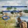 KEJJNYER 14 Pack Goat Collars with Bells Adjustable Nylon Goat Bells for Collars Sheep with Bell Bell Collar with Quick Release Buckle and Leashes for Horse