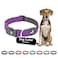 KRUZ PET Kruz Pet Dog Collar for Medium Dogs Width 34 Length 17215 Adjustable Padded Amethyst Dog Collar with Heavy Duty DRing Soft Comfortable Fit for Medium Dogs Amethyst Medium