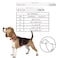 KRUZ PET Kruz Pet Dog Collar for Medium Dogs Width 34 Length 17215 Adjustable Padded Amethyst Dog Collar with Heavy Duty DRing Soft Comfortable Fit for Medium Dogs Amethyst Medium