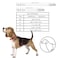 KRUZ PET Kruz Pet Dog Collar for Medium Dogs Width 34 Length 17215 Adjustable Padded Amethyst Dog Collar with Heavy Duty DRing Soft Comfortable Fit for Medium Dogs Amethyst Medium
