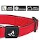 KRUZ PET Kruz Pet Dog Collar for Medium Dogs Width 34 Length 17215 Adjustable Padded Amethyst Dog Collar with Heavy Duty DRing Soft Comfortable Fit for Medium Dogs Amethyst Medium