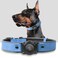 Odokele Leather AirTag Dog Collar Waterproof Dog Collar with Air Tag Holder Compatible with Apple Air Tag Reflective Durable Comfortable Padded GPS Dogs Collars Blue L