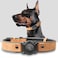 Odokele Leather AirTag Dog Collar Waterproof Dog Collar with Air Tag Holder Compatible with Apple Air Tag Reflective Durable Comfortable Padded GPS Dogs Collars Light Brown L