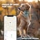 Odokele Leather AirTag Dog Collar Waterproof Dog Collar with Air Tag Holder Compatible with Apple Air Tag Reflective Durable Comfortable Padded GPS Dogs Collars Light Brown L