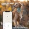 Odokele Leather AirTag Dog Collar Waterproof Dog Collar with Air Tag Holder Compatible with Apple Air Tag Reflective Durable Comfortable Padded GPS Dogs Collars Light Brown L