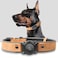 Odokele Leather AirTag Dog Collar Waterproof Dog Collar with Air Tag Holder Compatible with Apple Air Tag Reflective Durable Comfortable Padded GPS Dogs Collars Light Brown L