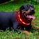 Fashion&amp;cool LED Dog CollarUSB Rechargeable Glowing Dog Collars Light Up Collar Improved Pet Safety Visibility at Night 3 Flashing ModesWaterResistant LED Lighted Fits for Small Medium Large Dogs