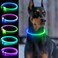 Dlitk Light Up Dog Collar USB Rechargeable LED Dog Collar 1 Count TPU Cuttable Size Glow Collar for Dogs Dog Collar Light GreenBlue