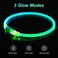 Dlitk Light Up Dog Collar USB Rechargeable LED Dog Collar 1 Count TPU Cuttable Size Glow Collar for Dogs Dog Collar Light GreenBlue