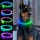 Dlitk Light Up Dog Collar USB Rechargeable LED Dog Collar 1 Count TPU Cuttable Size Glow Collar for Dogs Dog Collar Light GreenBlue