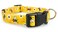 Limeloot Bees Dog Collar Adjustable Dog Collar for Male and Female Dogs Small