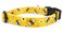 Limeloot Bees Dog Collar Adjustable Dog Collar for Male and Female Dogs Small